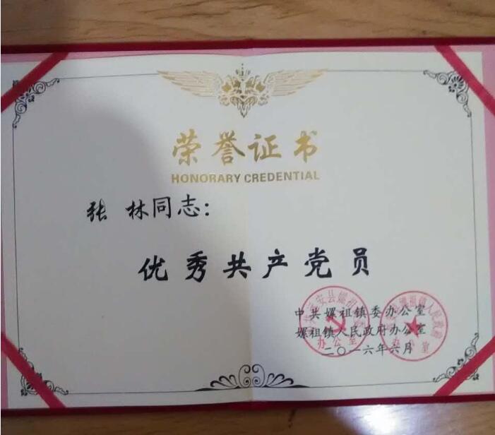 磷复肥公司张林同志获评“嫘祖镇优秀共产党员”称号