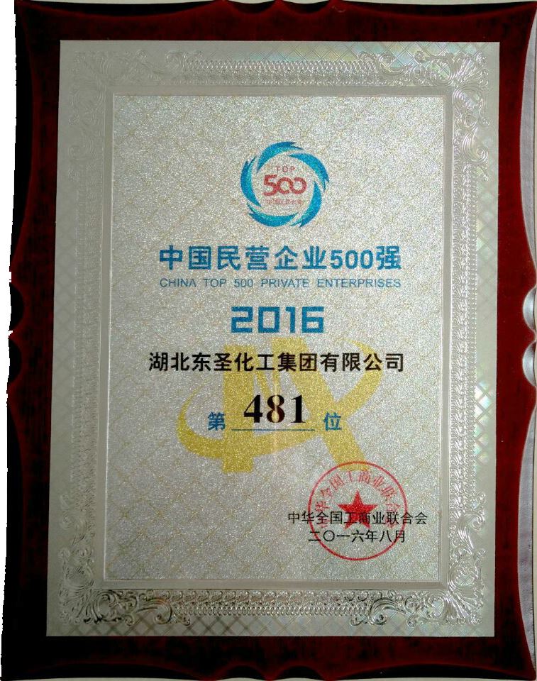 2016年中国民营企500强第481位