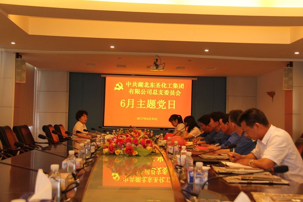 6月30日，东圣集团党总支召开党员会