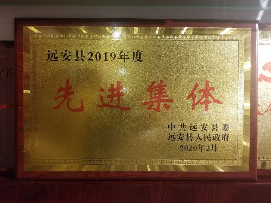东圣荣获远安县2019年度先进集体